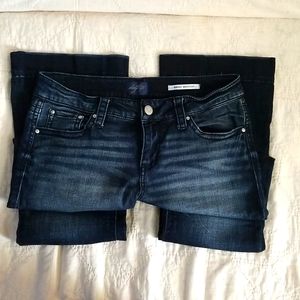 Daytrip virgo bootcut jean